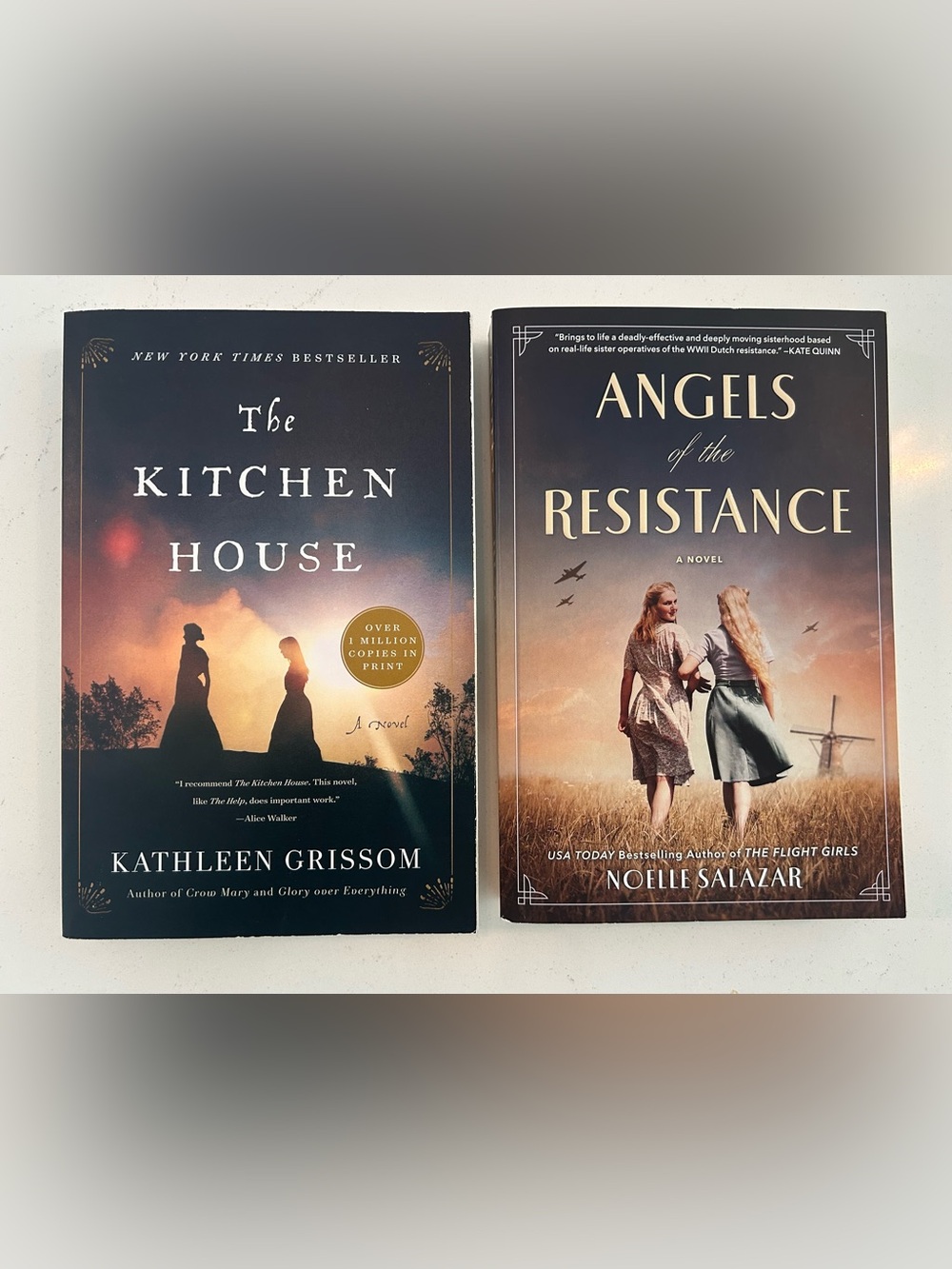 Beige & Brown Hardcover Novel - Angel of the Resistance
